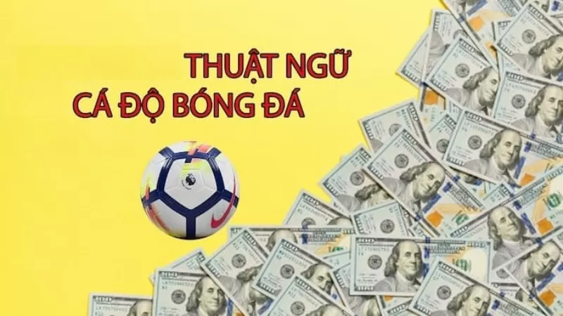 Nhanh tay tham khảo và áp dụng nào.