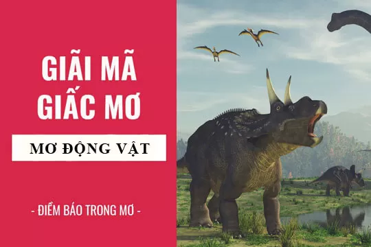 Giải mã giấc mơ mơ thấy động vật